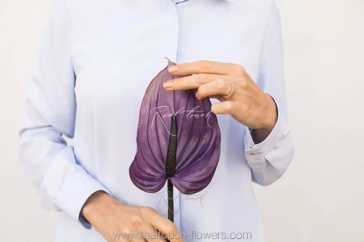 Large Real Touch Anthurium - purple