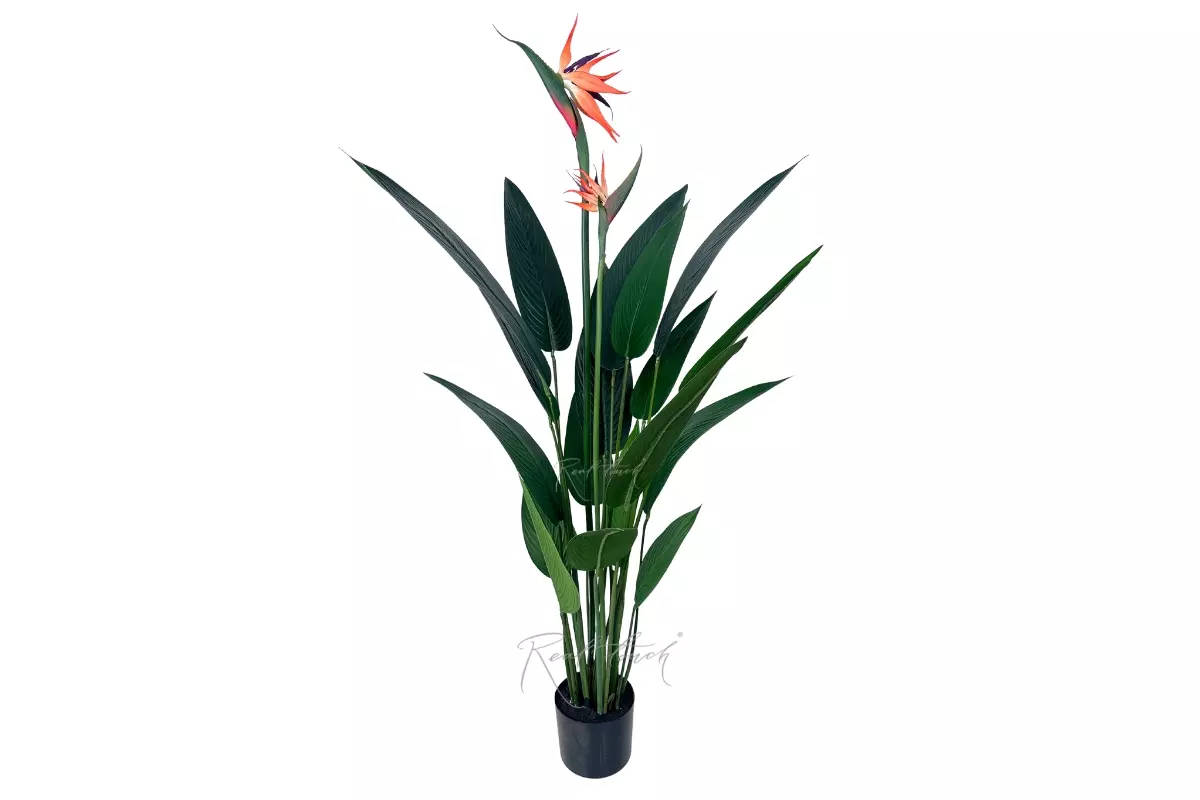 Bird of Paradise Artificial Strelitzia 120cm - green Bird of Paradise Artificial Strelitzia 120cm - green