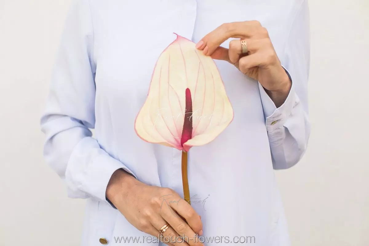 Large Real Touch Anthurium - white pink 