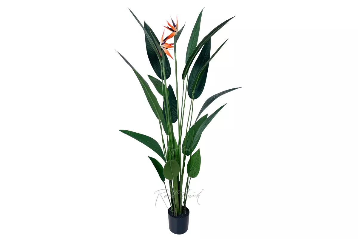 Bird of Paradise Artificial Strelitzia 150cm - green Bird of Paradise Artificial Strelitzia 150cm - green