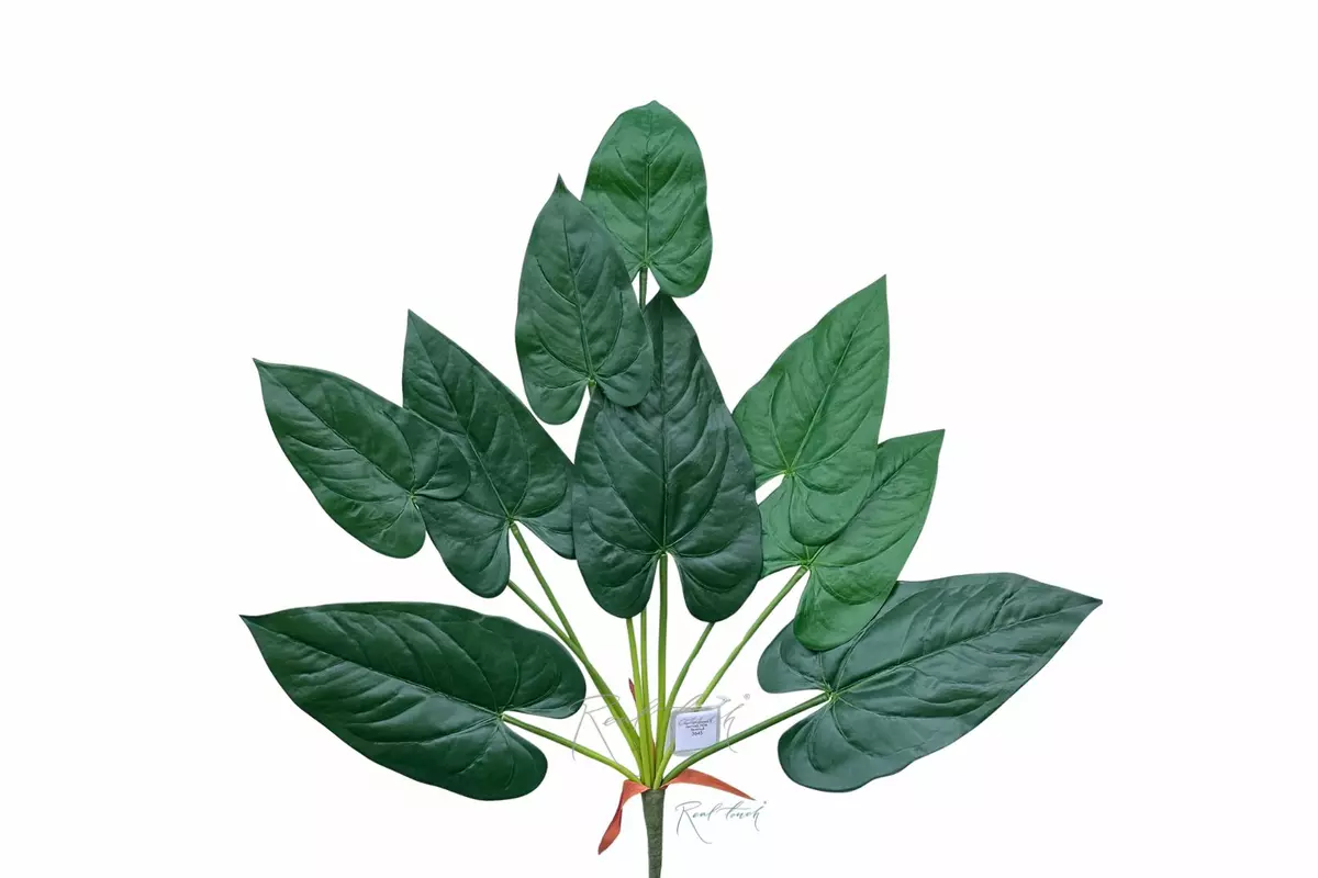 Anthurium bush of 9 leaves 76cm - green