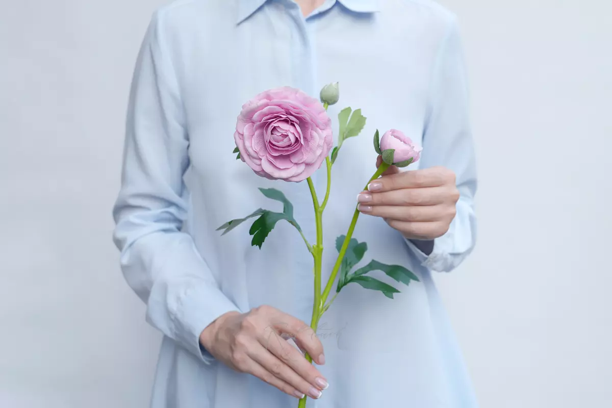 Ranunculus asiaticus Pauline - Light lilac