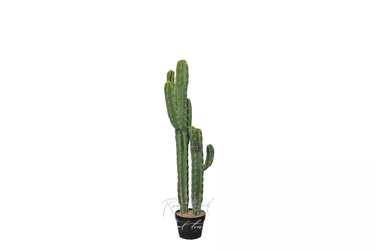Real Touch Cactus Cereus Jamakaru 101cm - green Real Touch Cactus Cereus Jamakaru 101cm - green