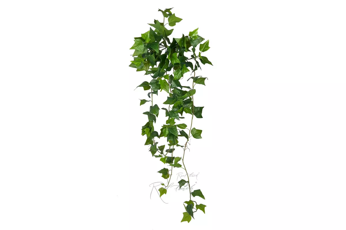Ivy - bush 48" - green Ivy - bush 48" - green