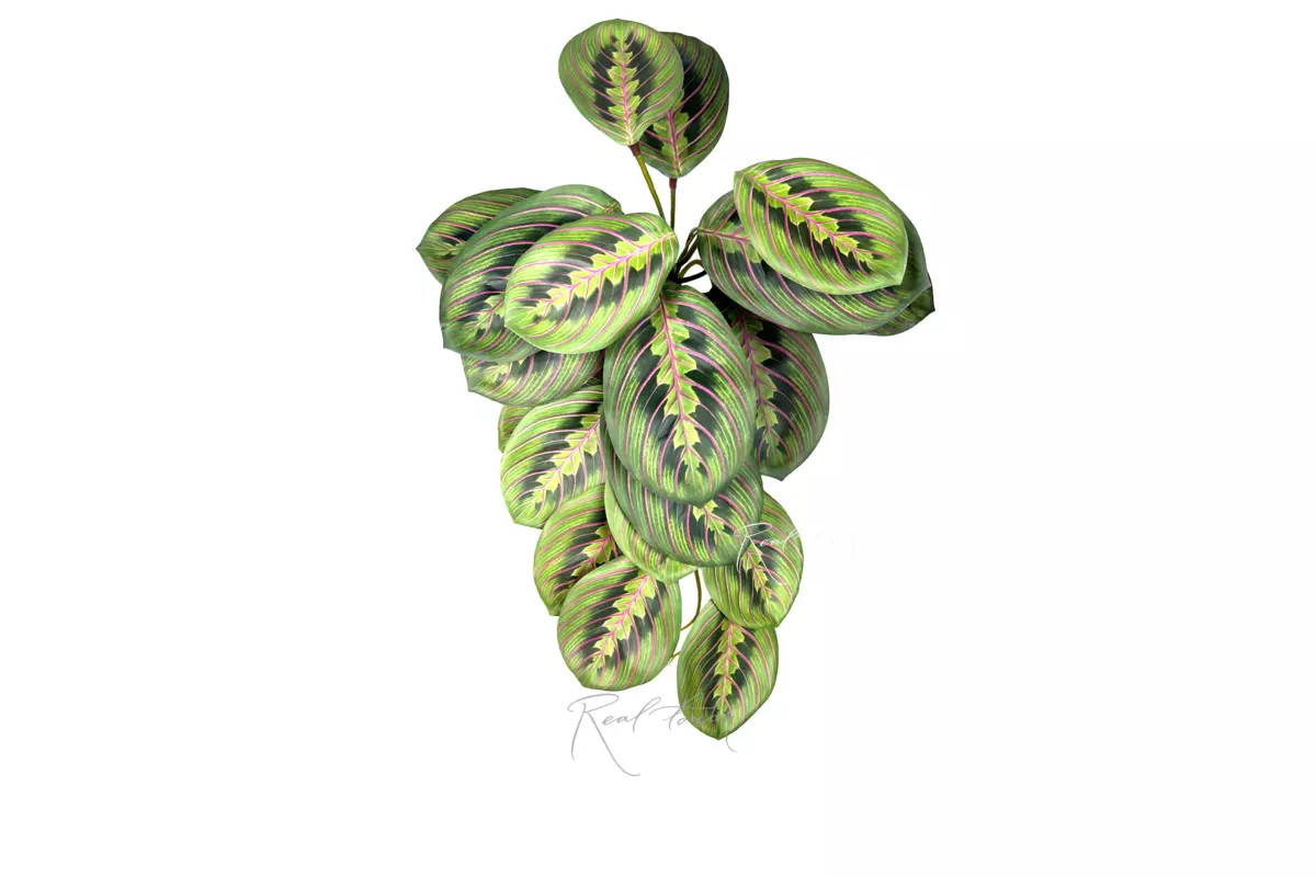 Bush 22 leaves - light green