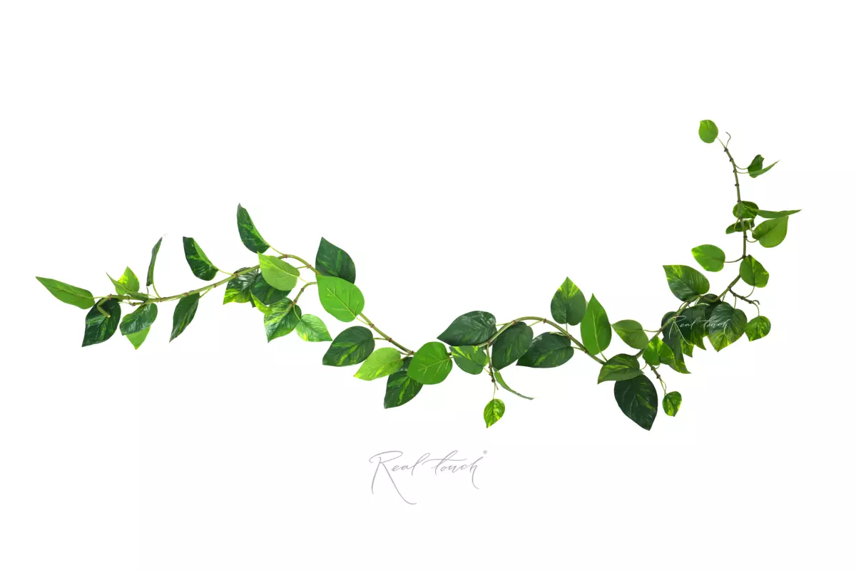 Pothos vine garland - green