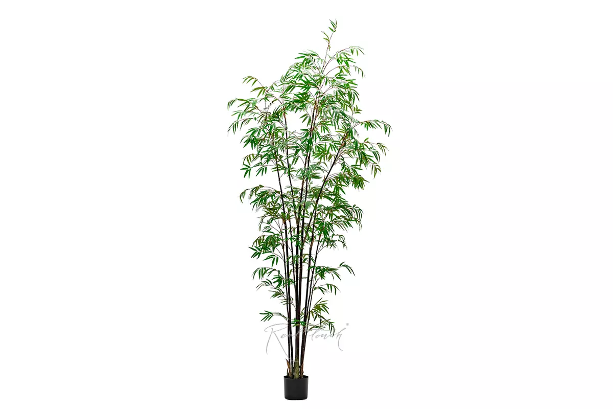 Real Touch Bamboo Bissetii 240cm  - Dark green