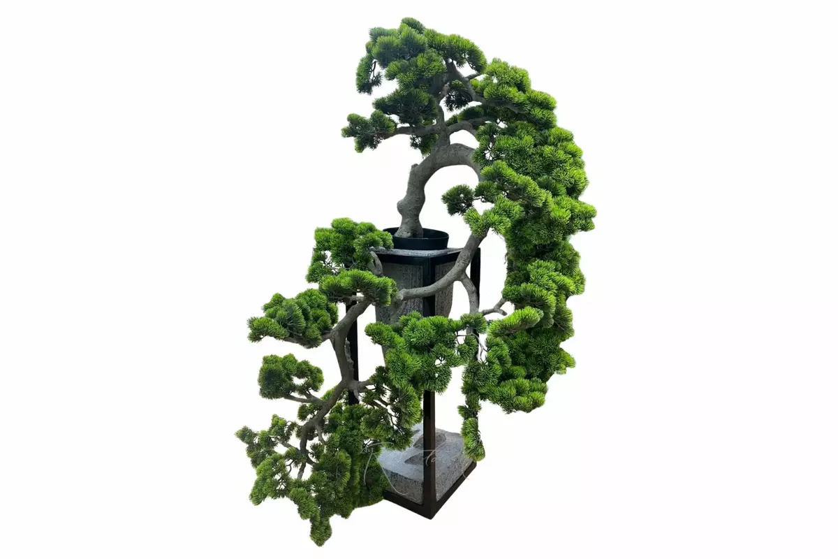 Bonsai cascade 170 cm with a long needle - green