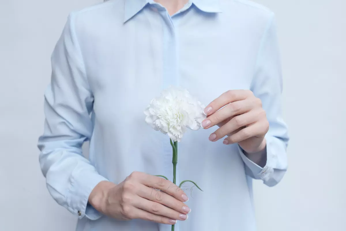 Carnation (dianthus) - white Carnation (dianthus) - white