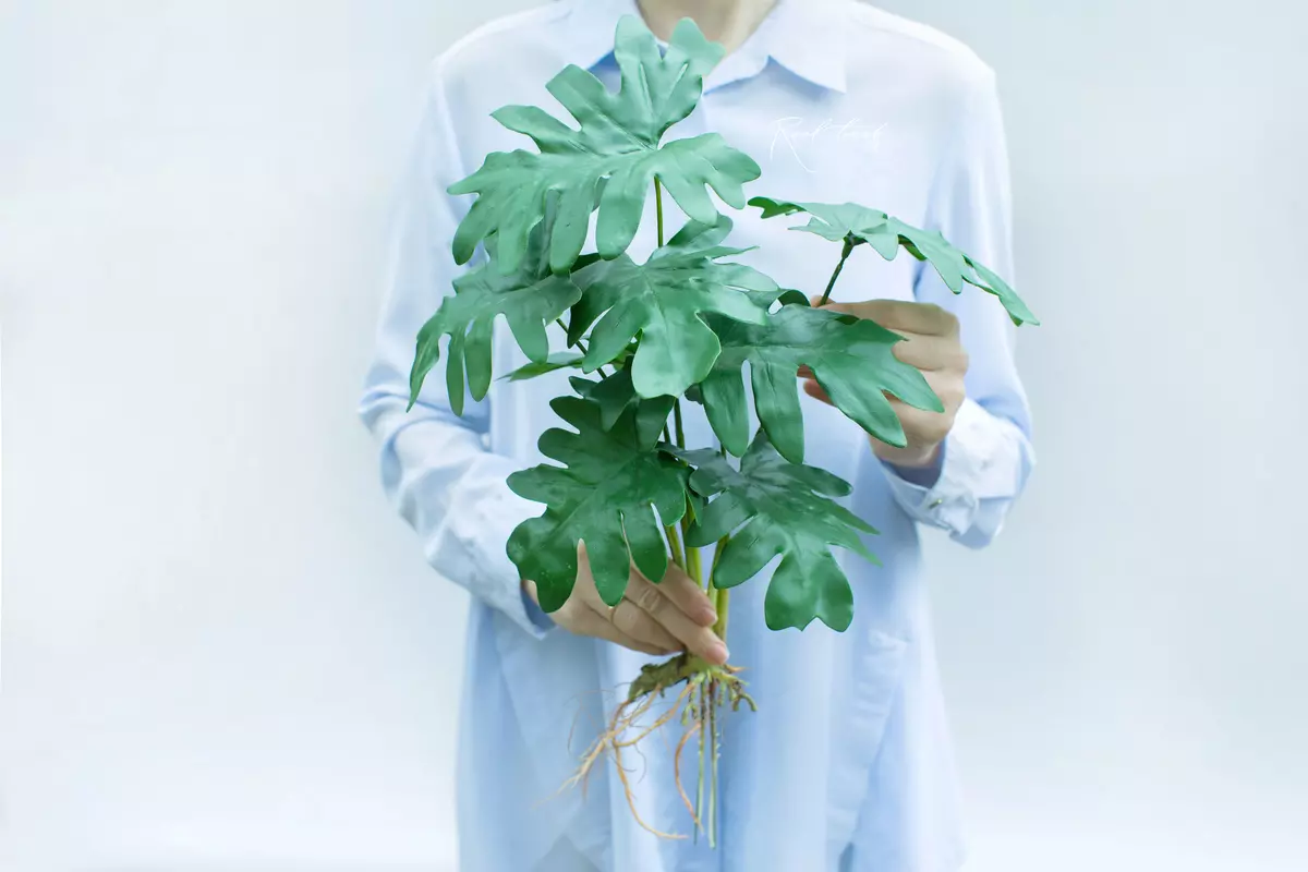 Artificial Philodendron Atom bush of 8 leaves with roots  - green