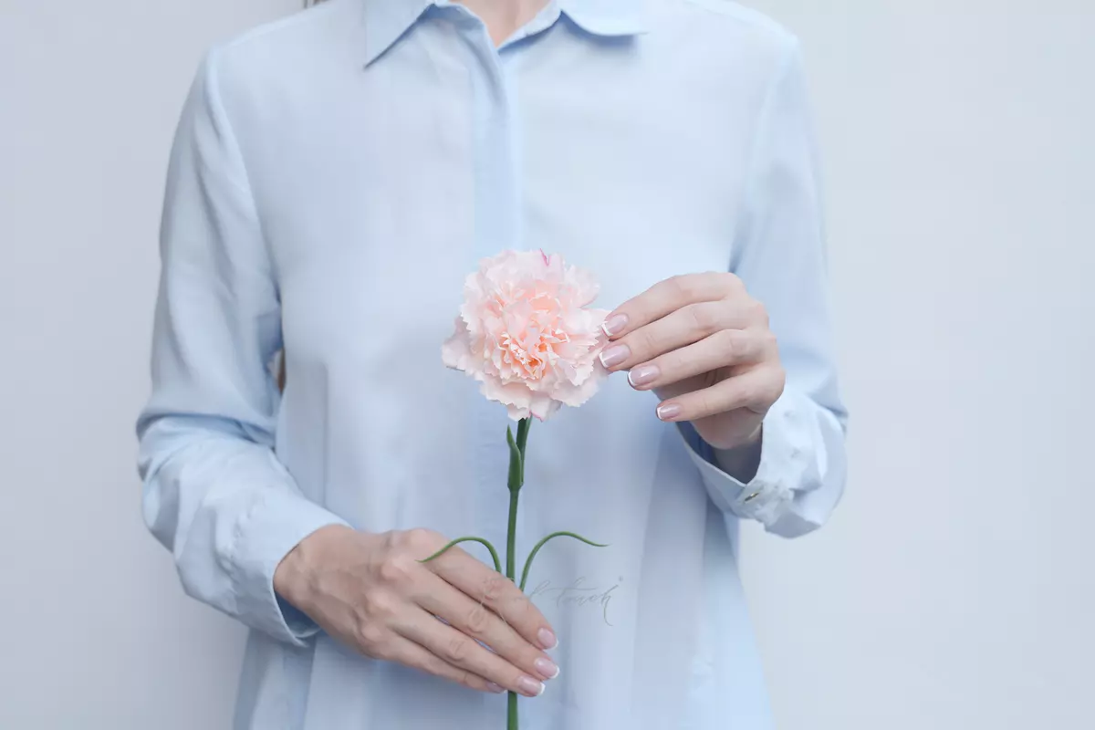 Carnation (dianthus) - peach Carnation (dianthus) - peach