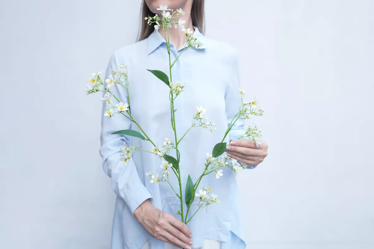 Creeping Gypsophila - white Creeping Gypsophila - white