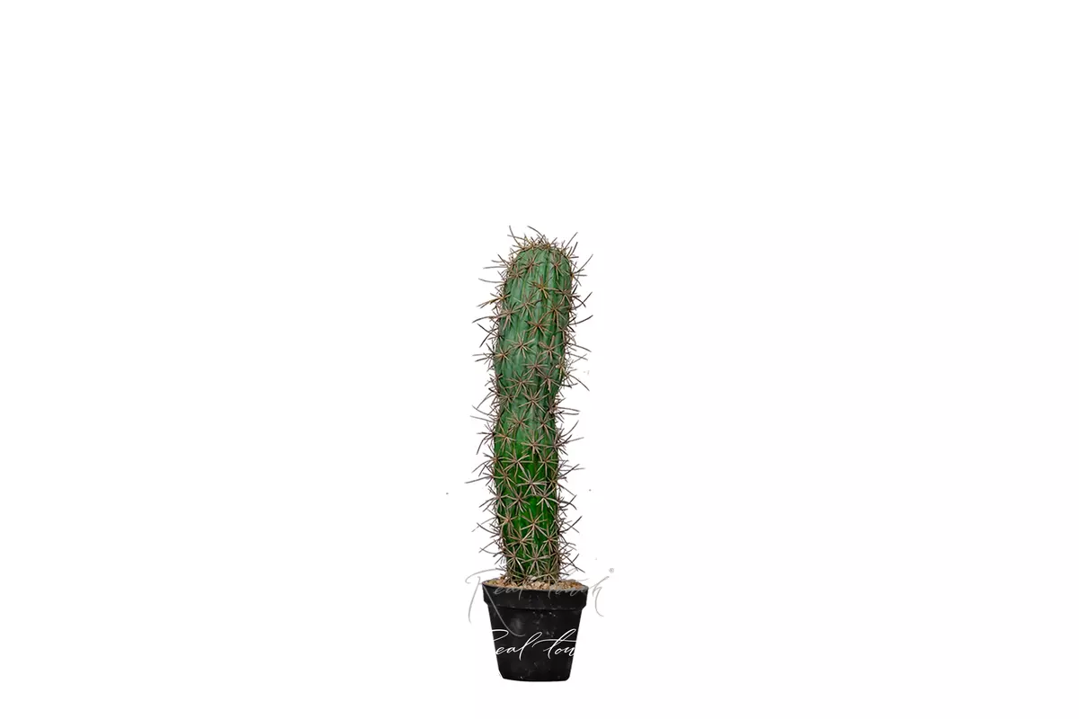 Artificial San Pedro Cactus Trichocereus 50cm - green Artificial San Pedro Cactus Trichocereus 50cm - green