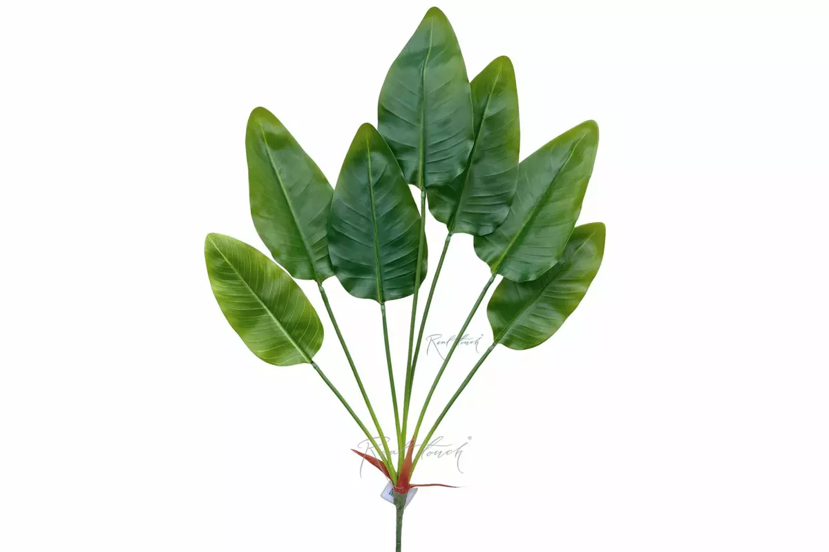 Strelitzia bush 7 leaves 83cm - green