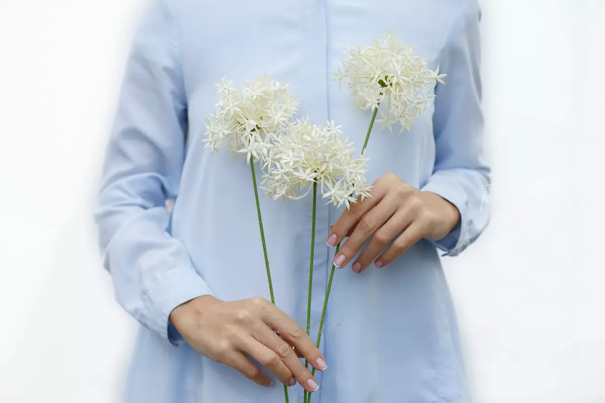 Allium with 3 inflorescences - white Allium with 3 inflorescences - white