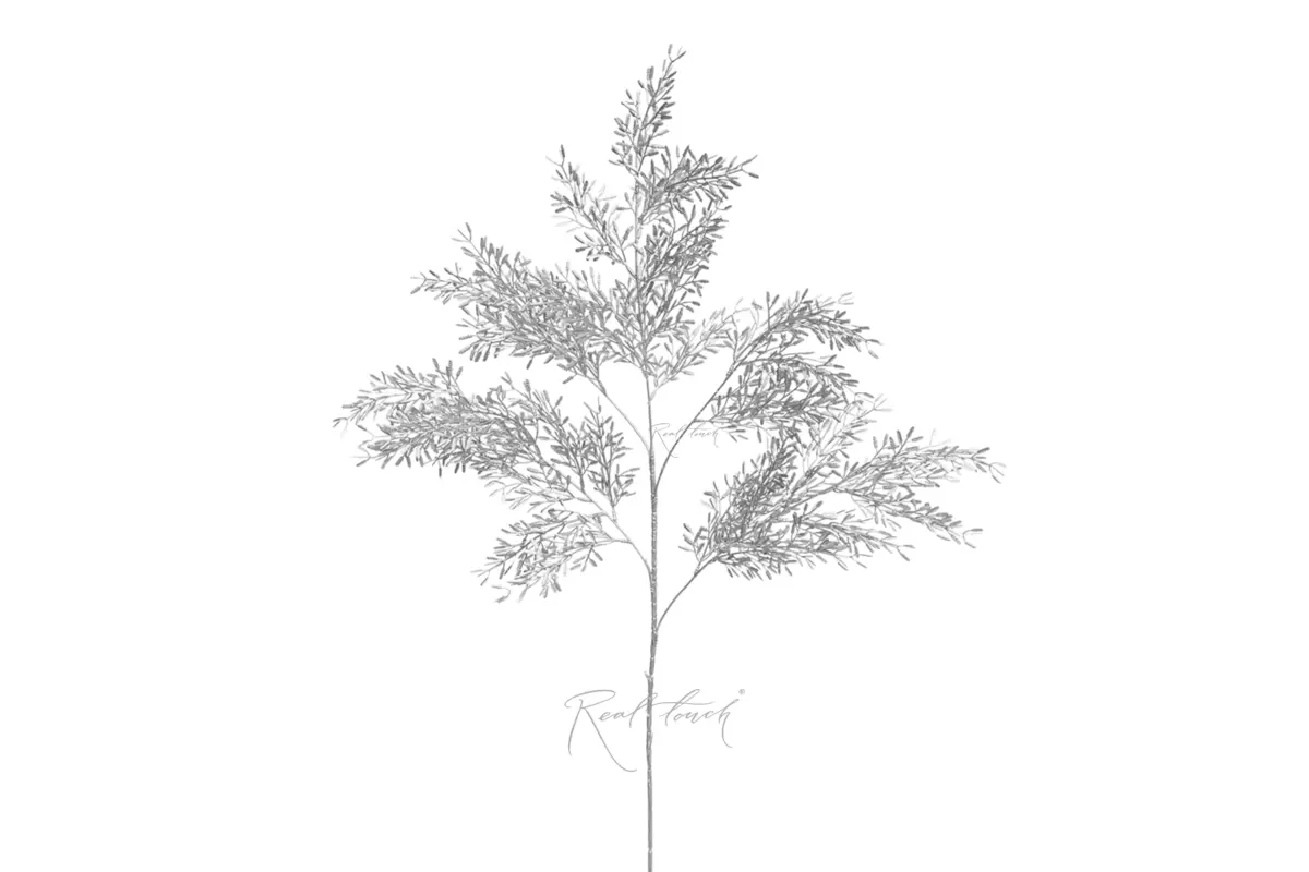 Asparagus - silver