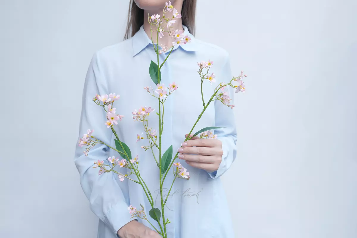 Creeping Gypsophila - pink Creeping Gypsophila - pink