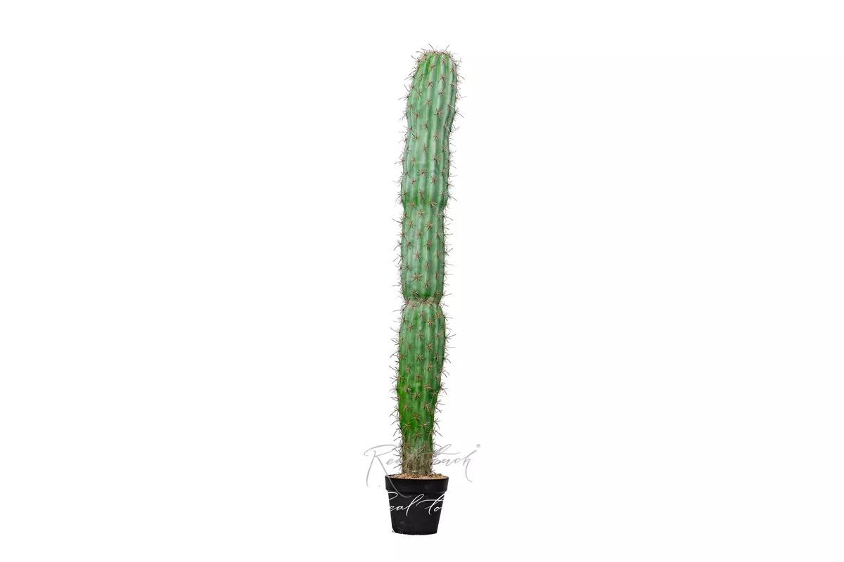 Artificial San Pedro Cactus Trichocereus 150cm - green Artificial San Pedro Cactus Trichocereus 150cm - green