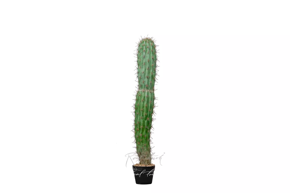 Artificial San Pedro Cactus Trichocereus 113cm - green Artificial San Pedro Cactus Trichocereus 113cm - green