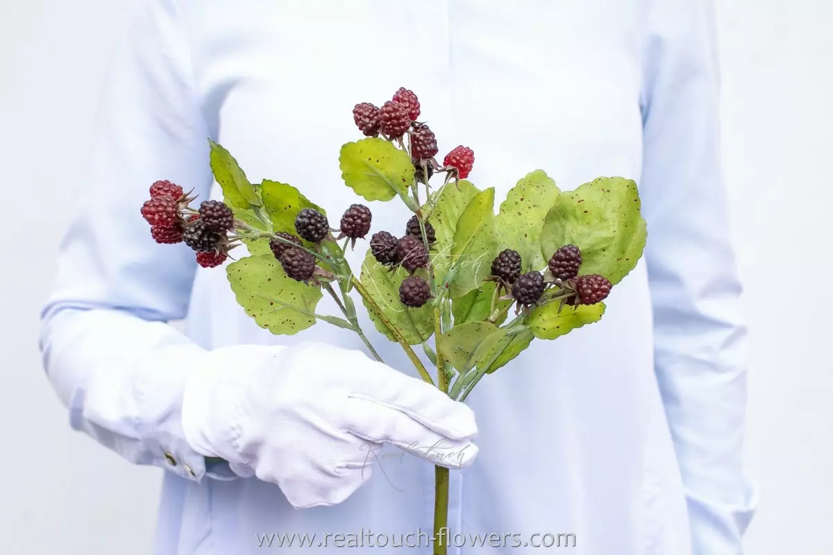 Blackberry branch - Multicolored