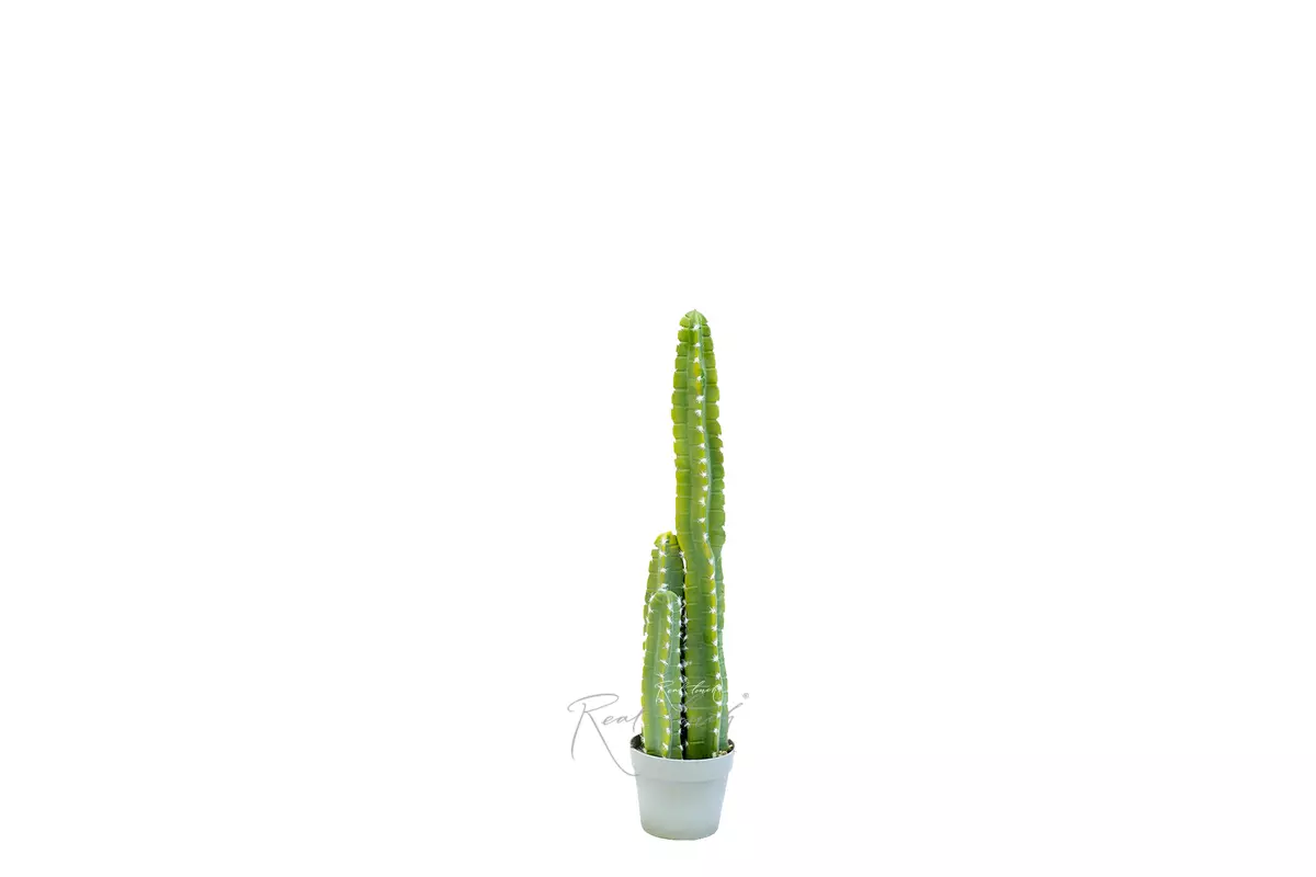 Real Touch Cactus Cereus straight small 75cm  - green