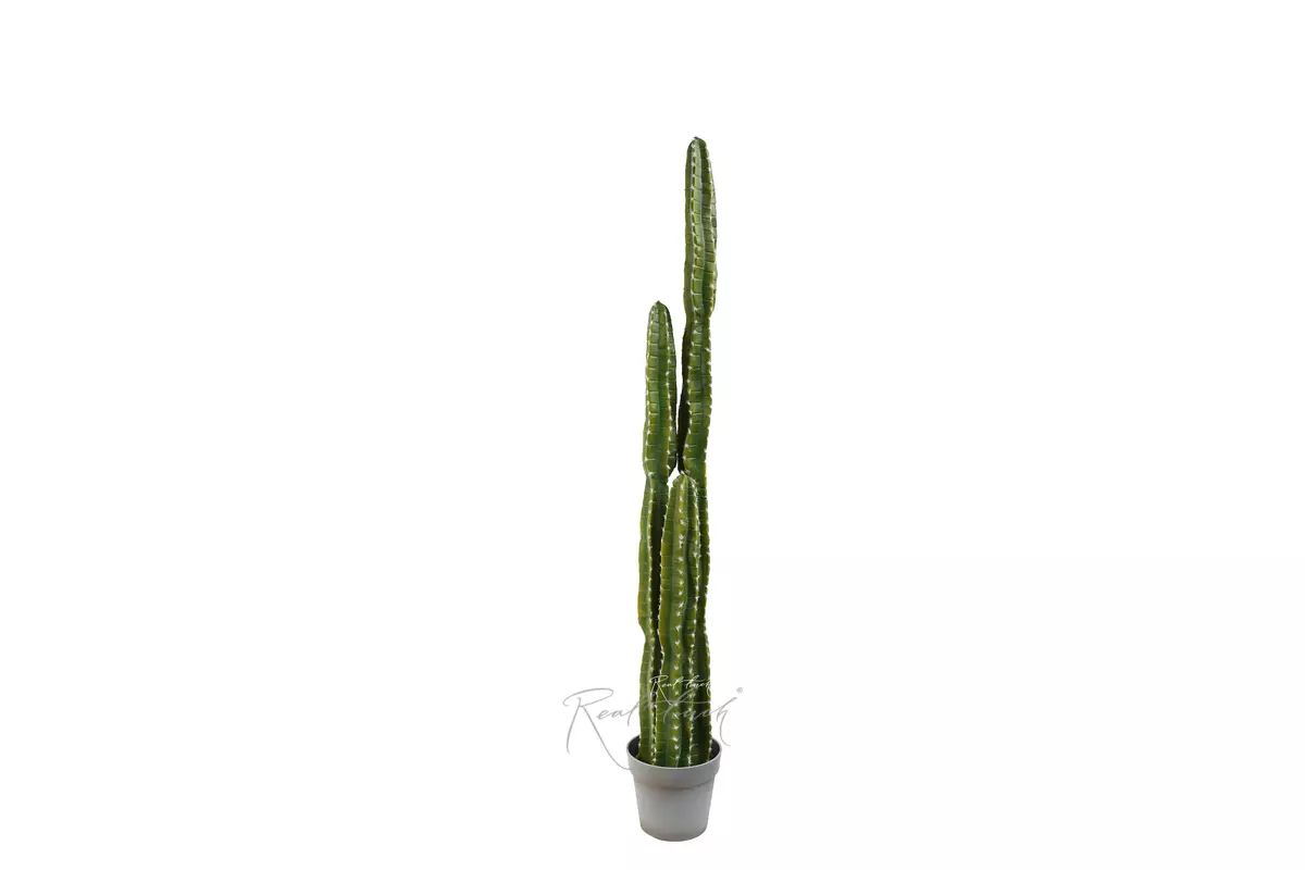 Real Touch Cactus Cereus straight big 141cm  - green