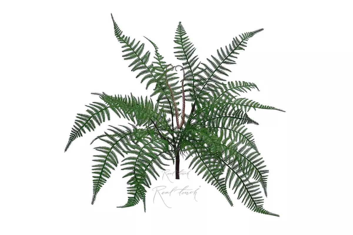 Real Touch Polystichum Shield Fern  - green