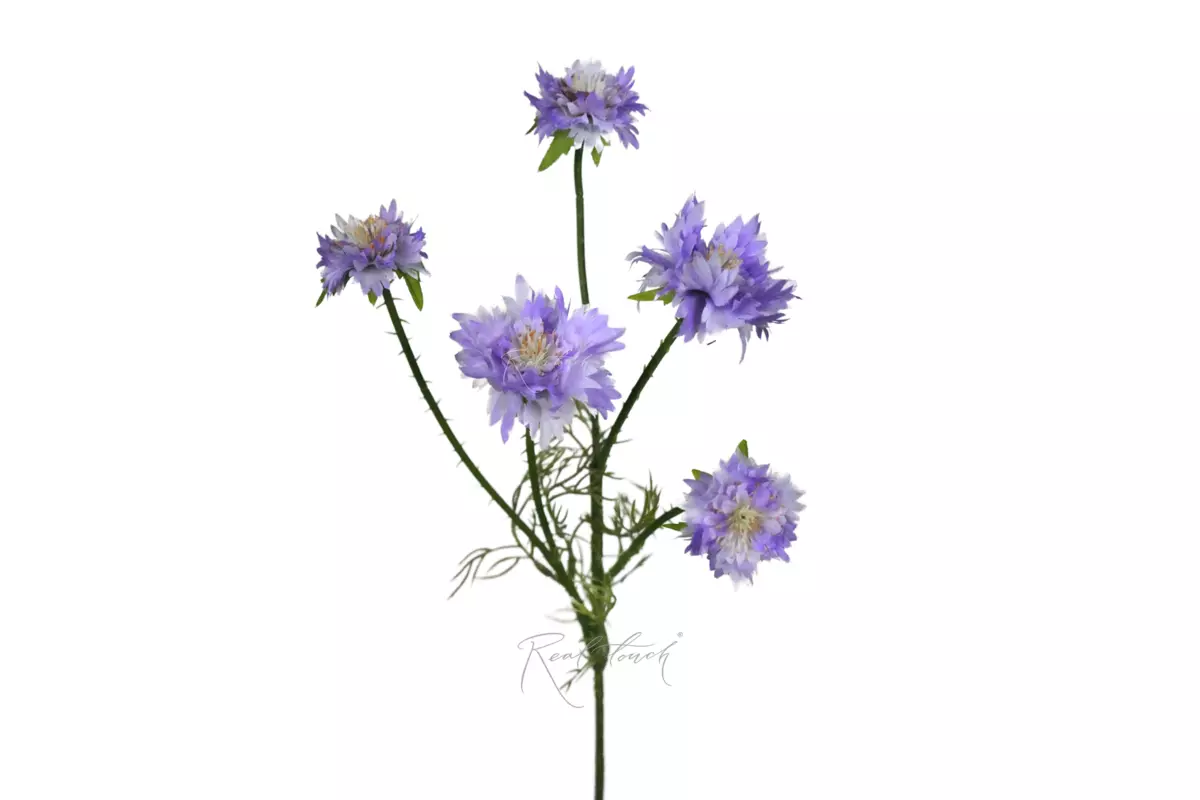 Cornflower branch 56cm (5 inflorescences) - light purple 