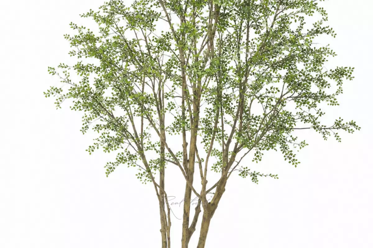 Tree 6m - green