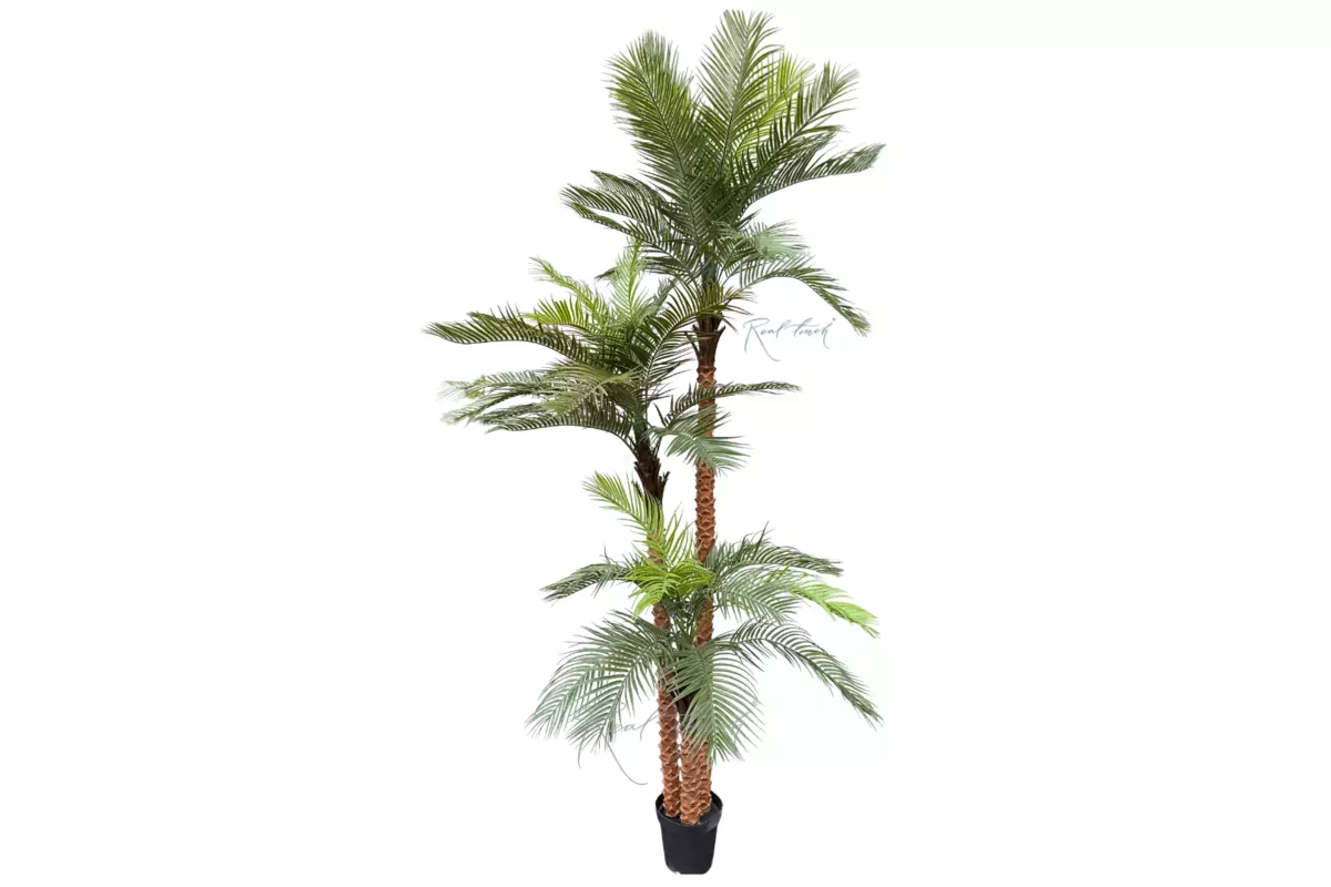 Coconut palm 300cm - green