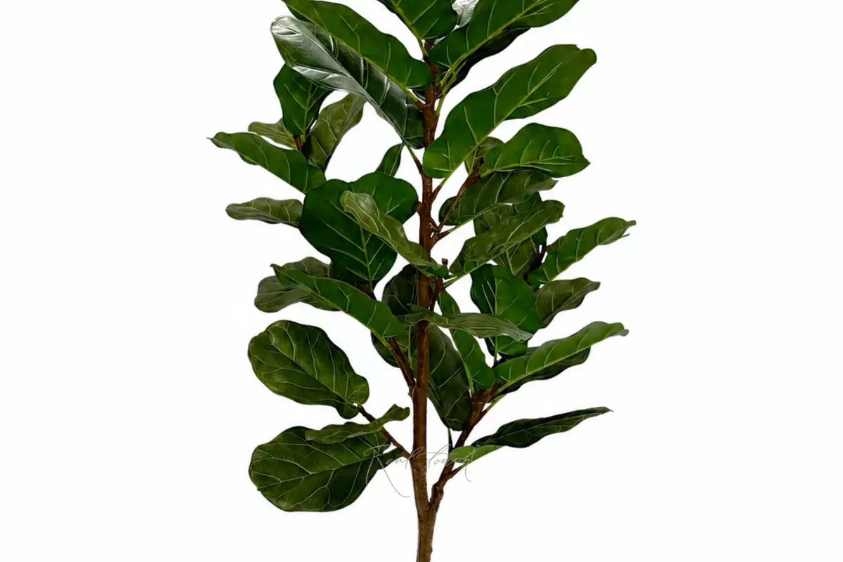 Artificial Ficus Lyrata 170cm - green