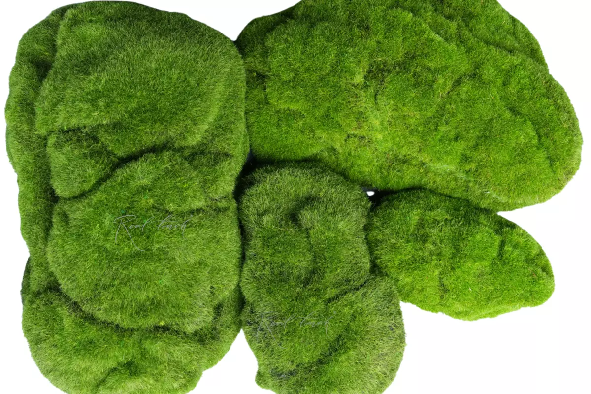 Moss hummocks (set of 4 pcs) (color shade 1) - green Moss hummocks (set of 4 pcs) (color shade 1) - green