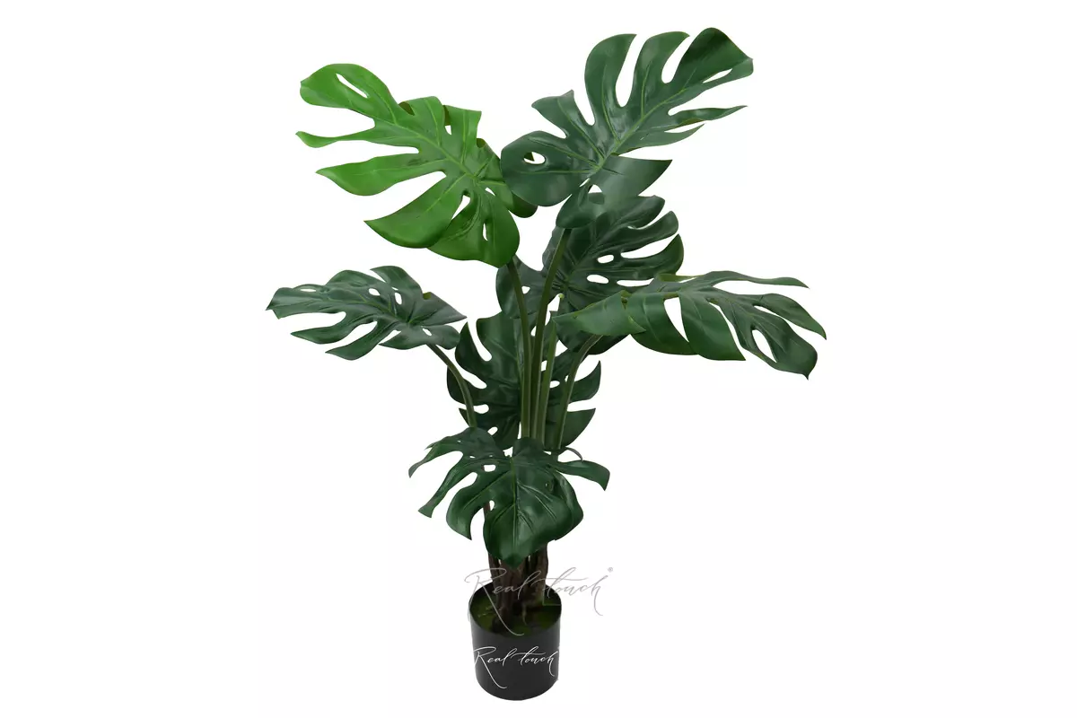 Monstera bush 120 cm in the planters - green Monstera bush 120 cm in the planters - green