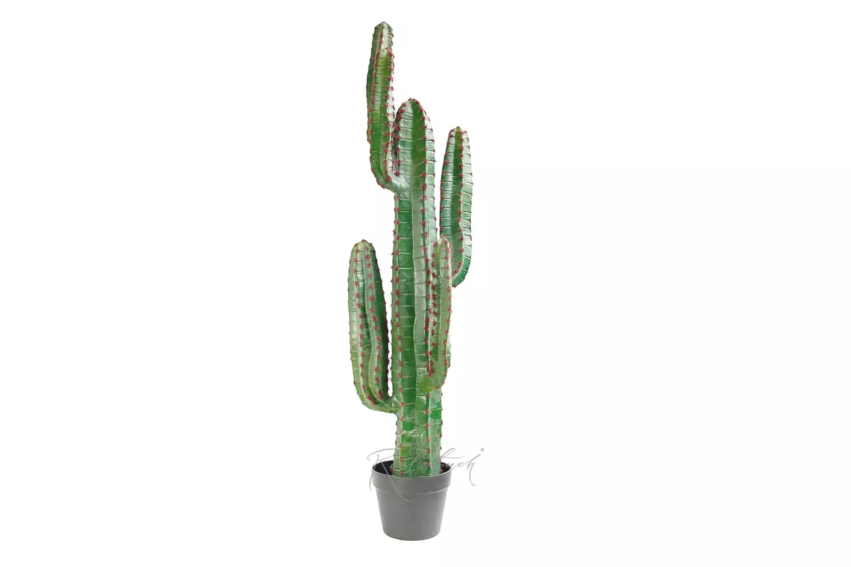 Real Touch Cactus Cereus medium 115cm (with red needles) - green Real Touch Cactus Cereus medium 115cm (with red needles) - green