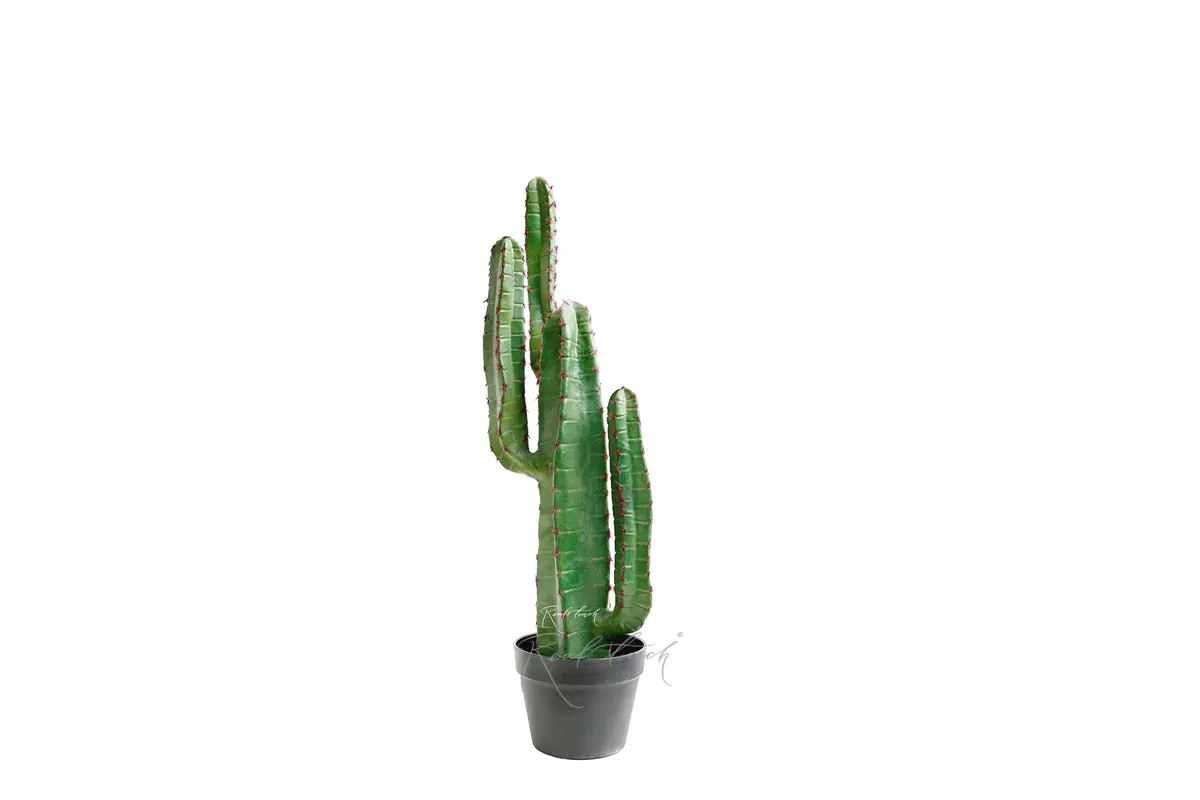 Real Touch Cactus Cereus small 78cm (with red needles) - green Real Touch Cactus Cereus small 78cm (with red needles) - green