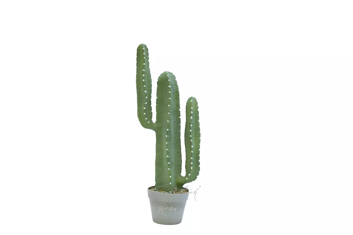 Real Touch Cactus Cereus small 69cm (with white needles) - green Real Touch Cactus Cereus small 69cm (with white needles) - green