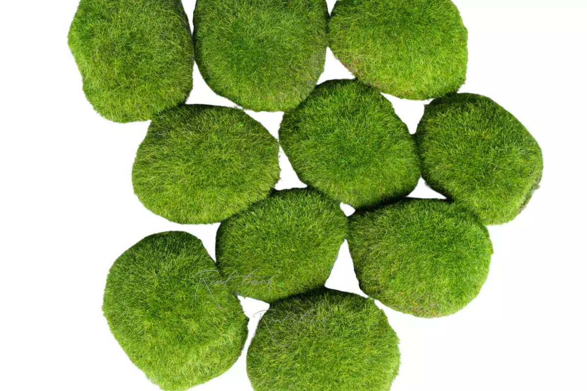 Moss hummocks (set of 9 pcs) - light green Moss hummocks (set of 9 pcs) - light green
