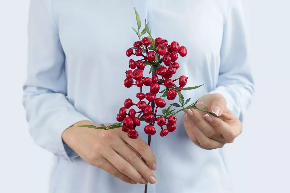 Small Snowberry branch - red Small Snowberry branch - red