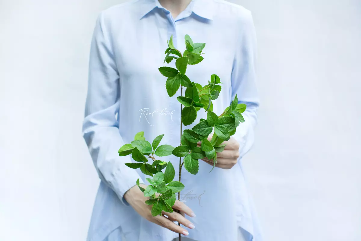 Mint branch medium - green Mint branch medium - green