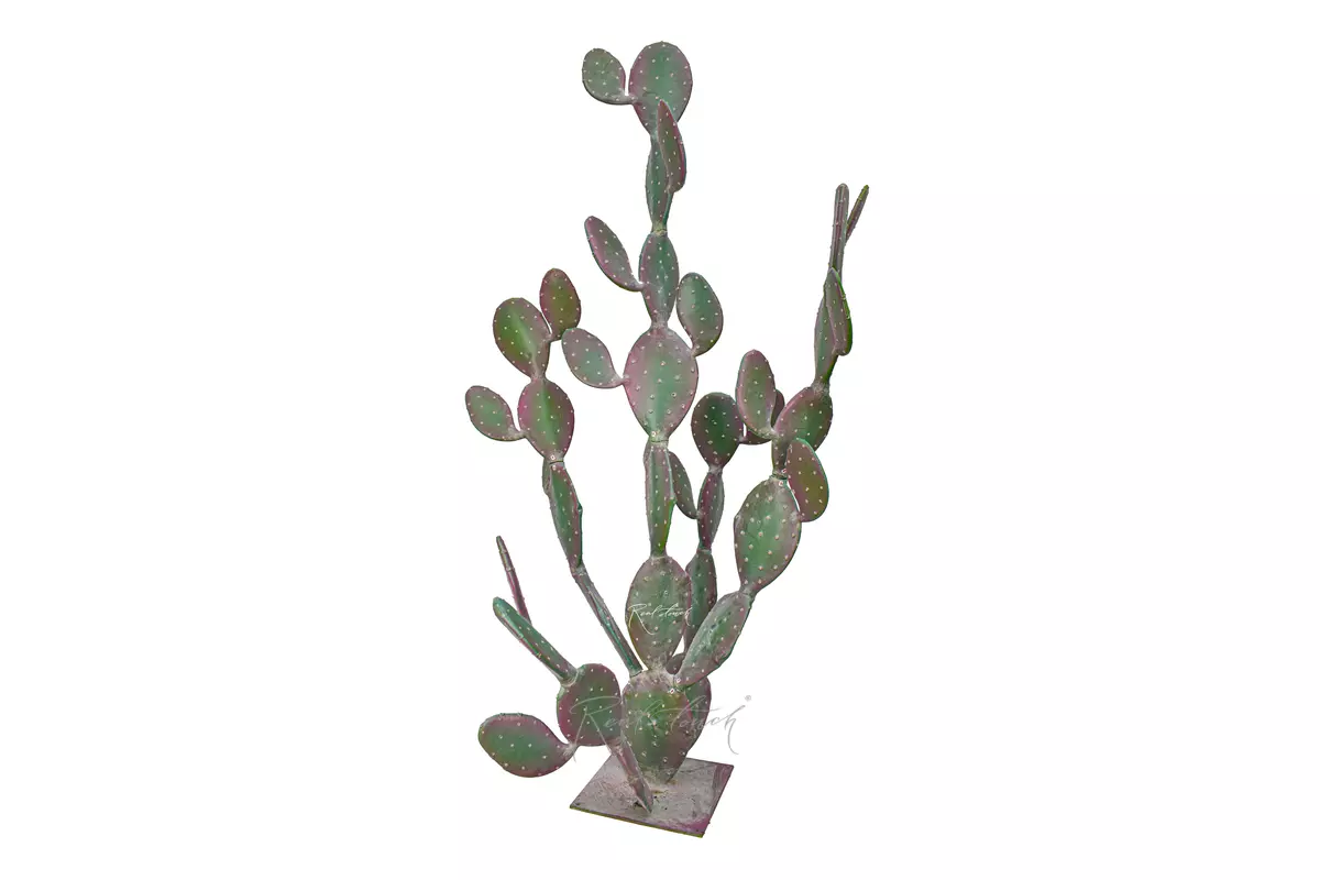 Cactus Opuntia giant 204cm - pink Cactus Opuntia giant 204cm - pink