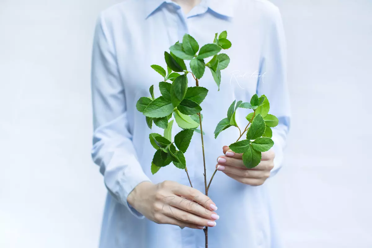 Mint branch small - green