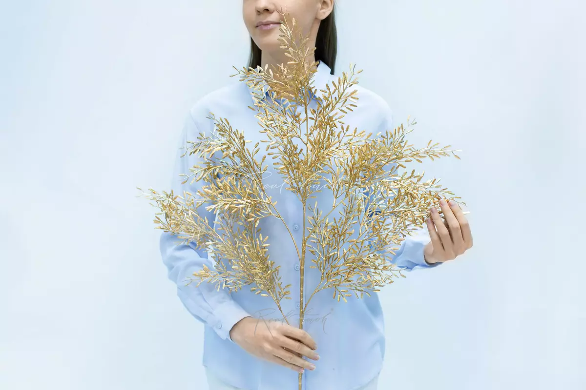 Asparagus - Gold