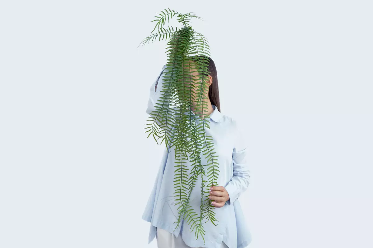 Polypodium long hanging fern - green