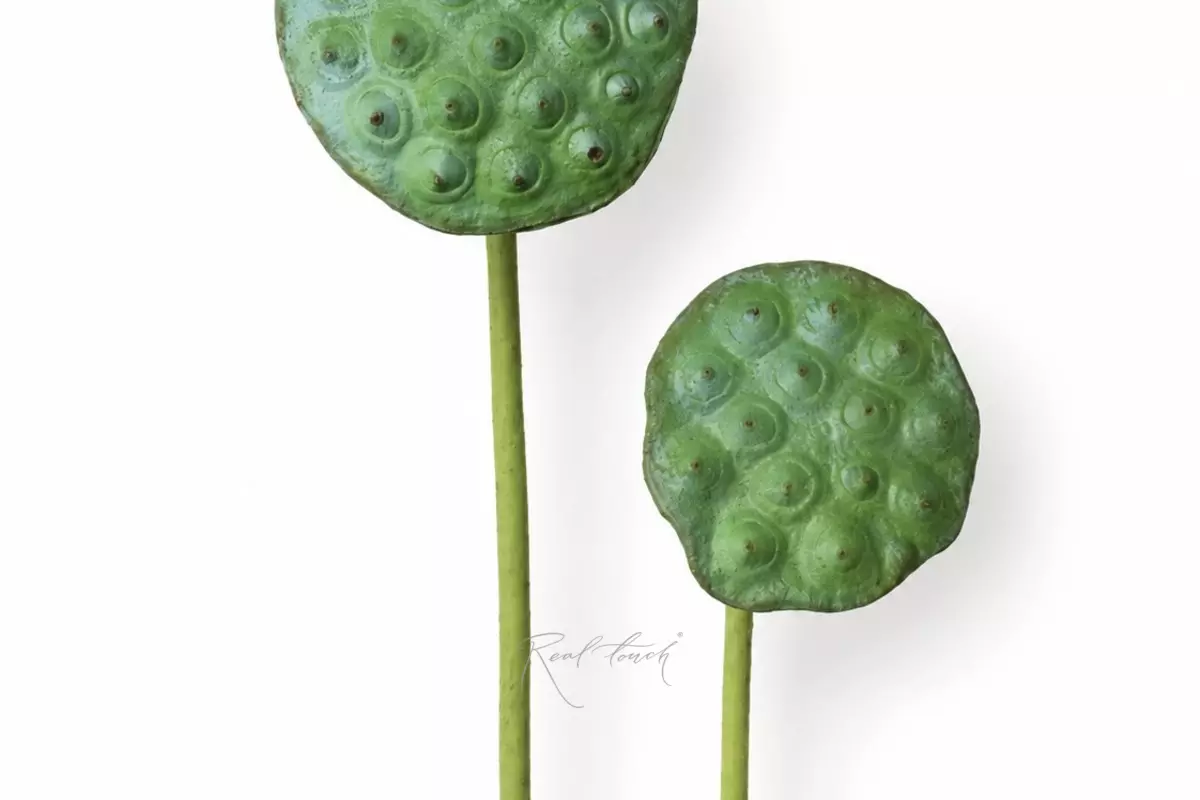 Lotus branch (small) - Dark green