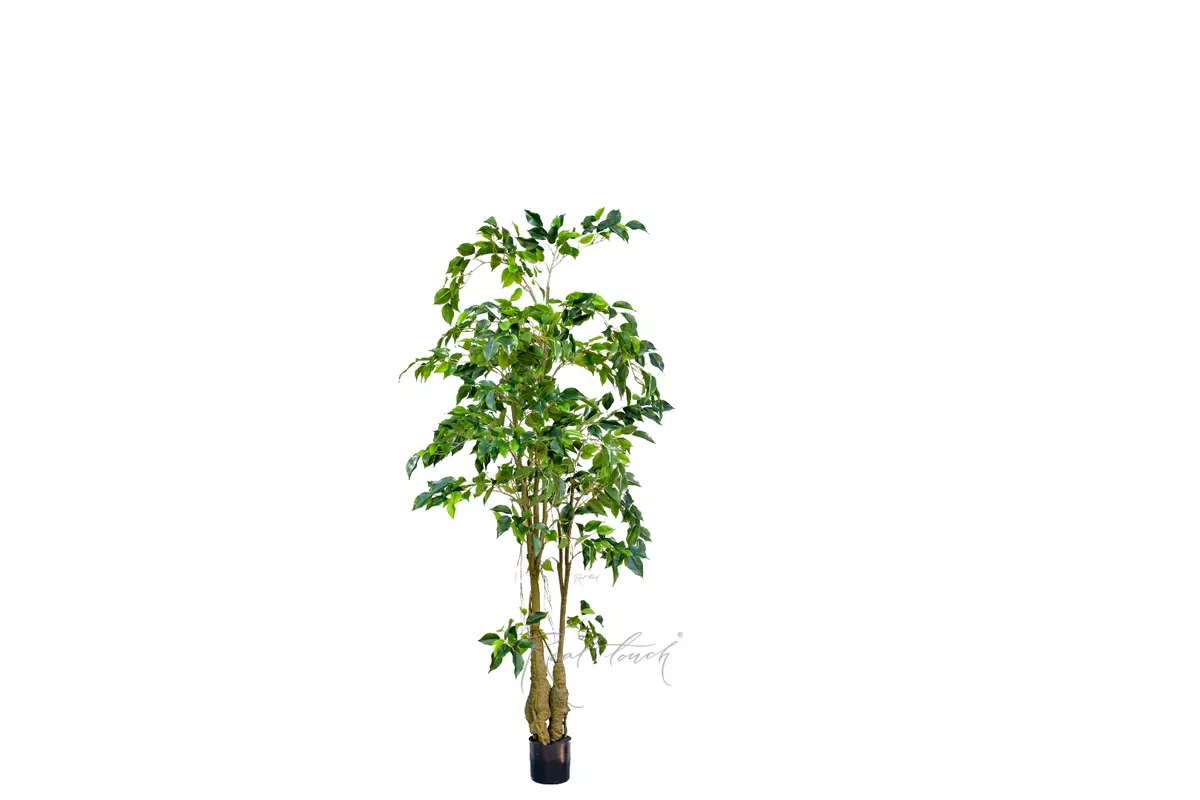 Artificial Ficus Benjamina Weeping fig 150cm  - green