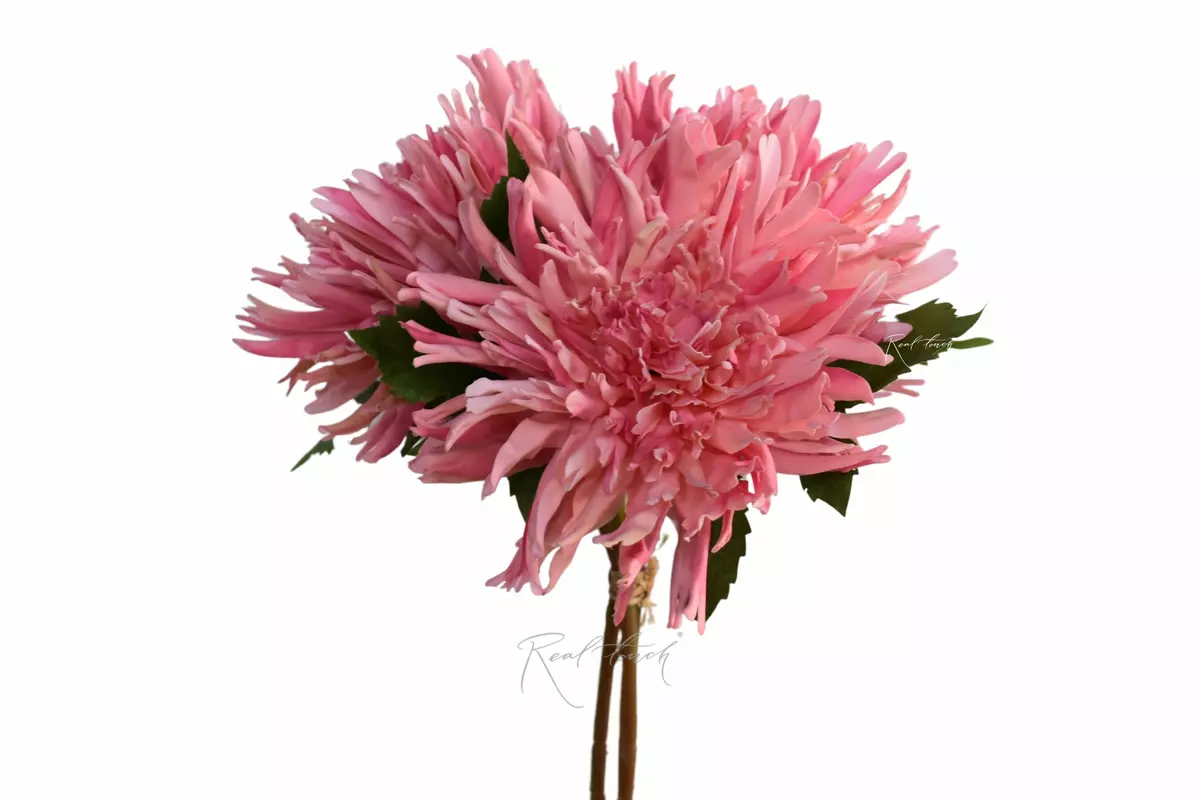 Bouquet of Terry chrysanthemums - pink Bouquet of Terry chrysanthemums - pink