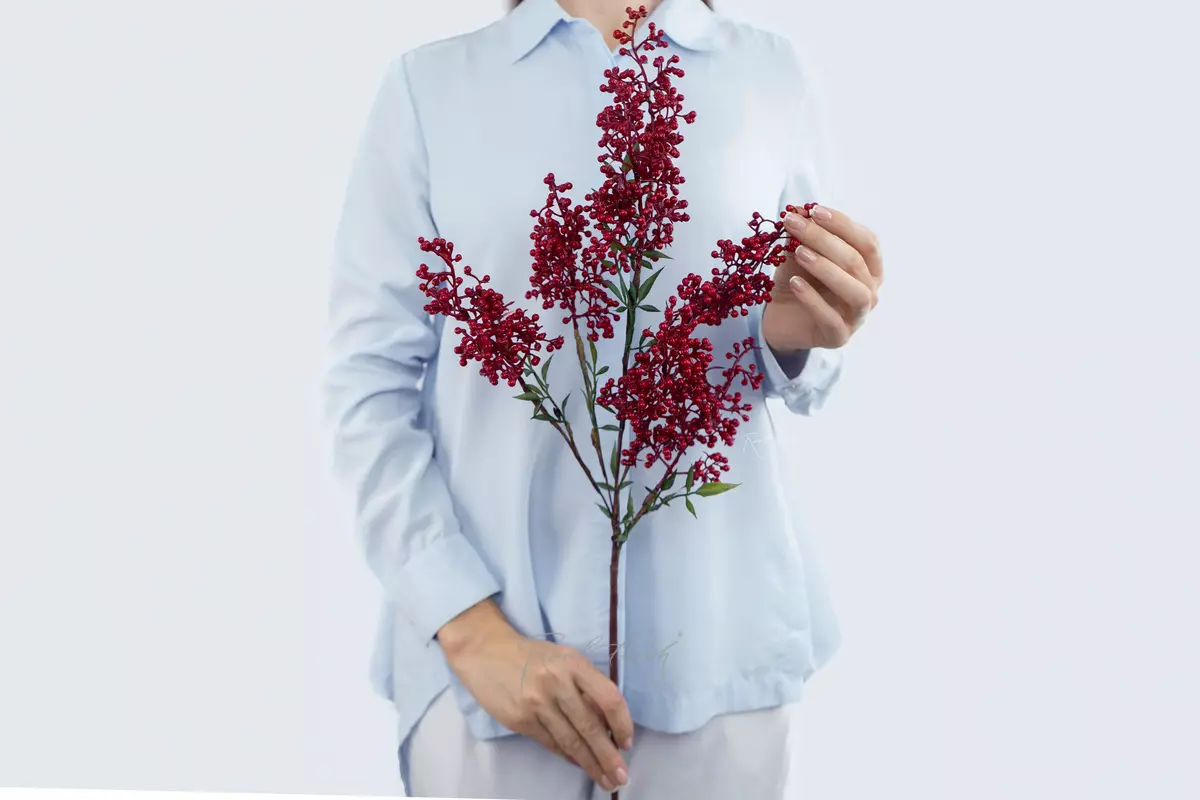 Nandina branch - red Nandina branch - red