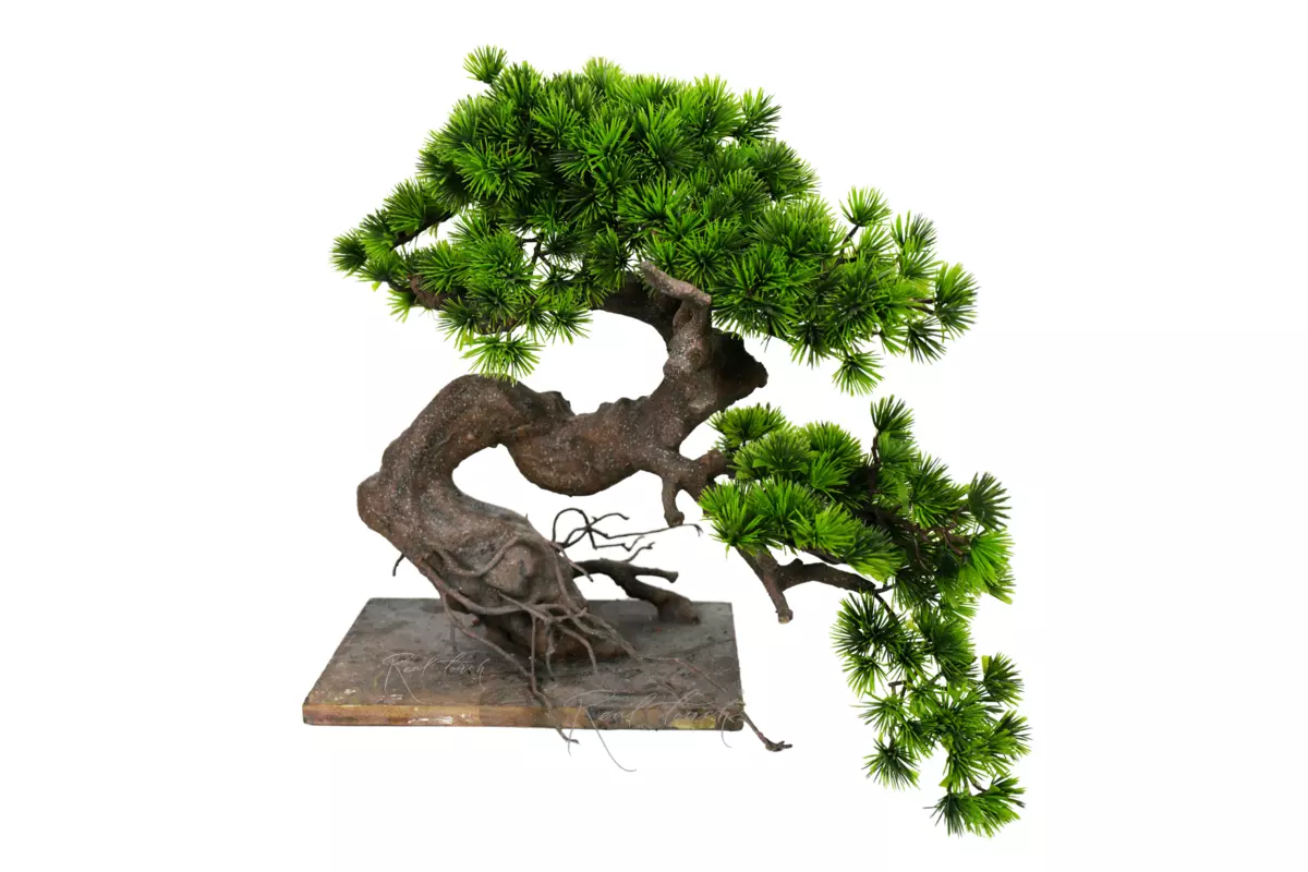 Bonsai tree 55*30*60 cm - green