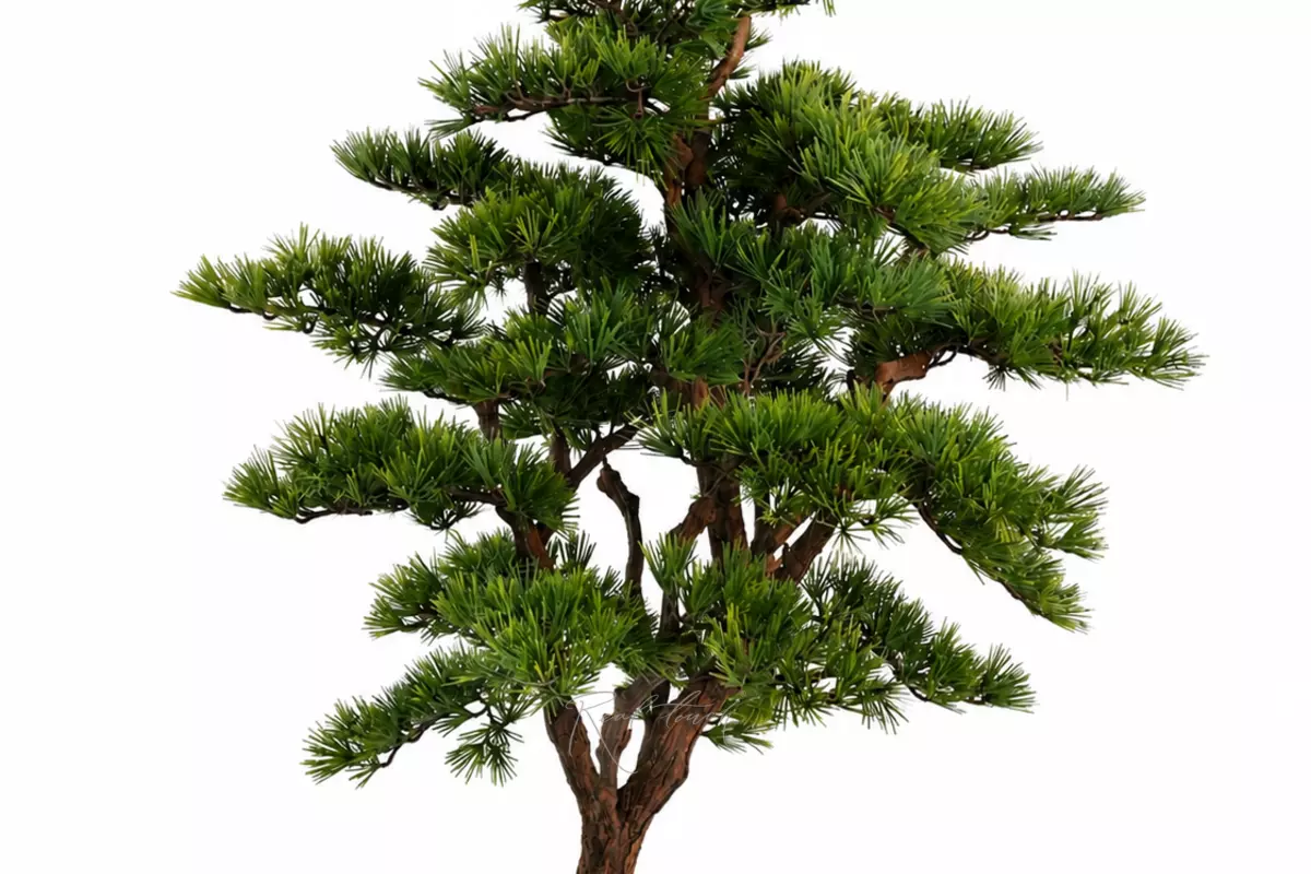 Bonsai tree 100 cm - green