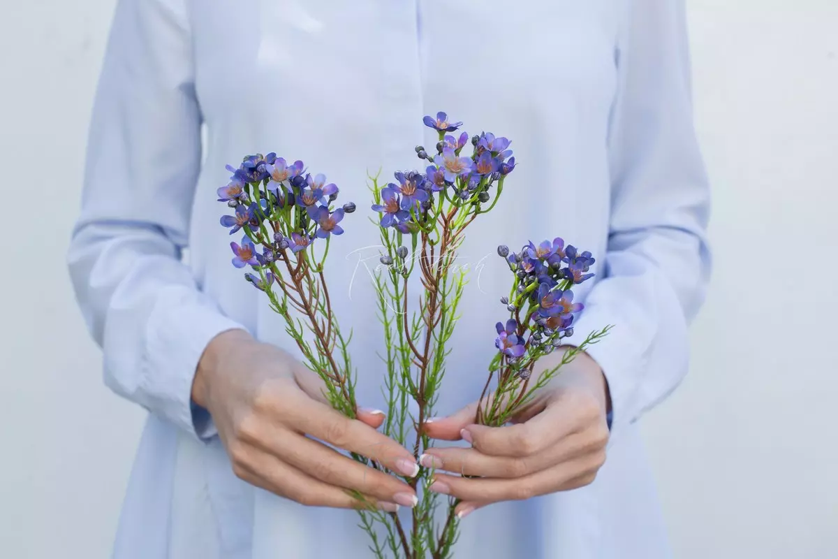 Artificial Wax Flower Chamelacium  - purple